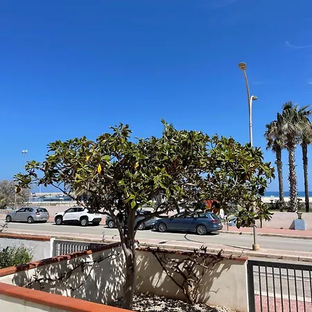 Ciuri Di Fronte Al Mare
