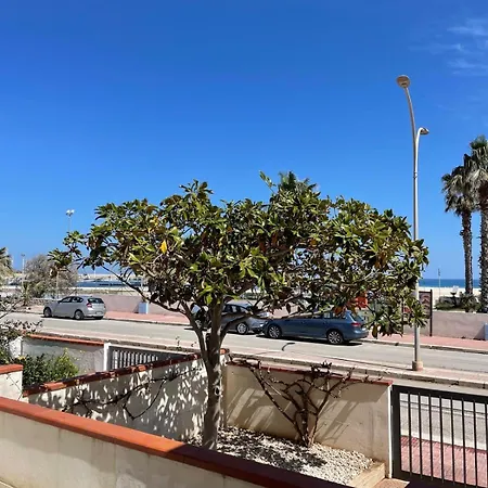Ciuri Di Fronte Al Mare *